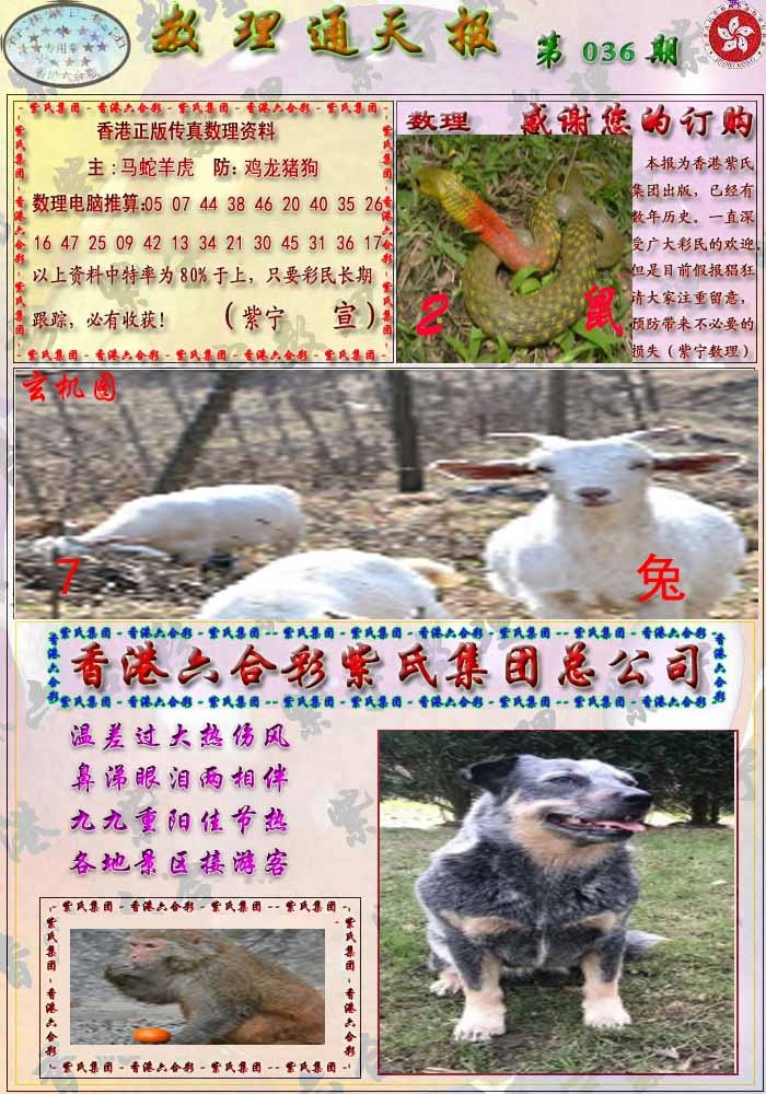 036期数通报[图]