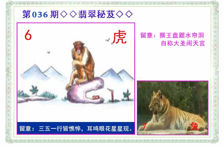 036期翡翠报[图]