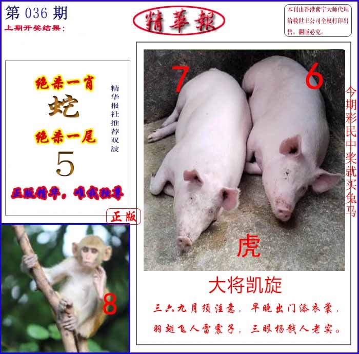 036期新精华报报[图]