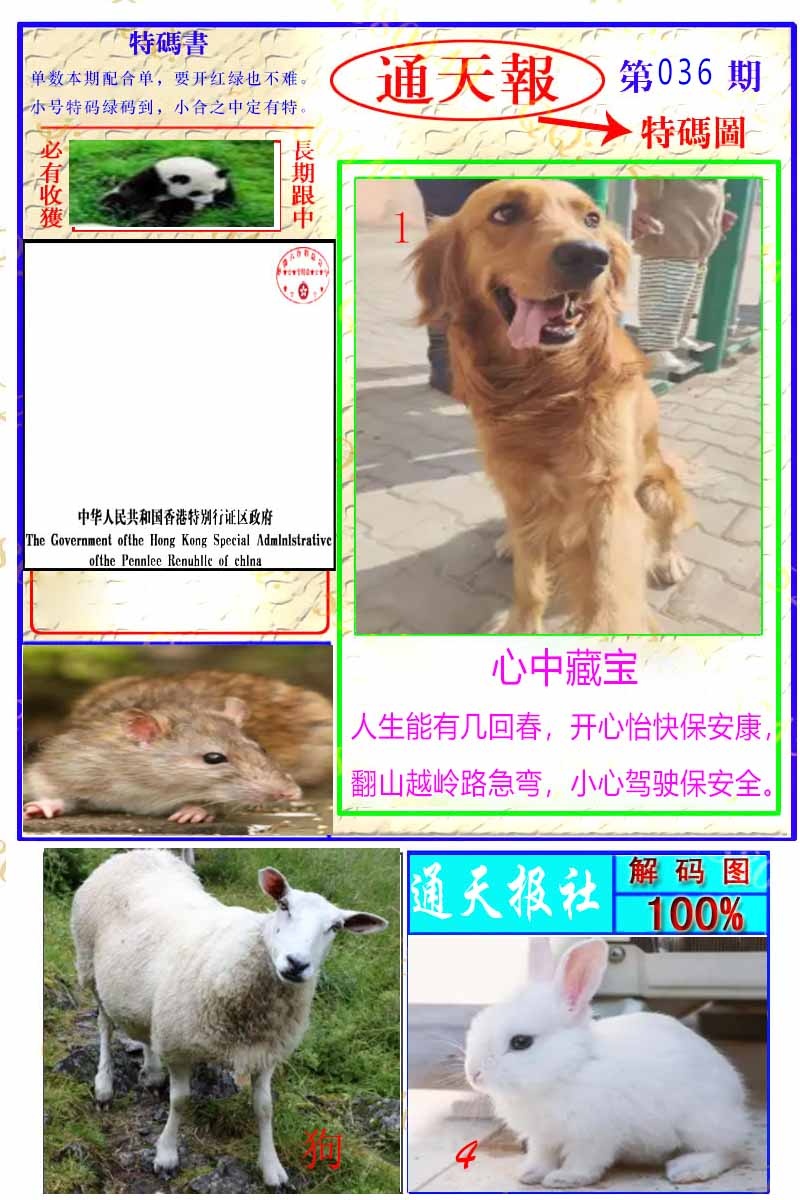 036期通天特解图[图]