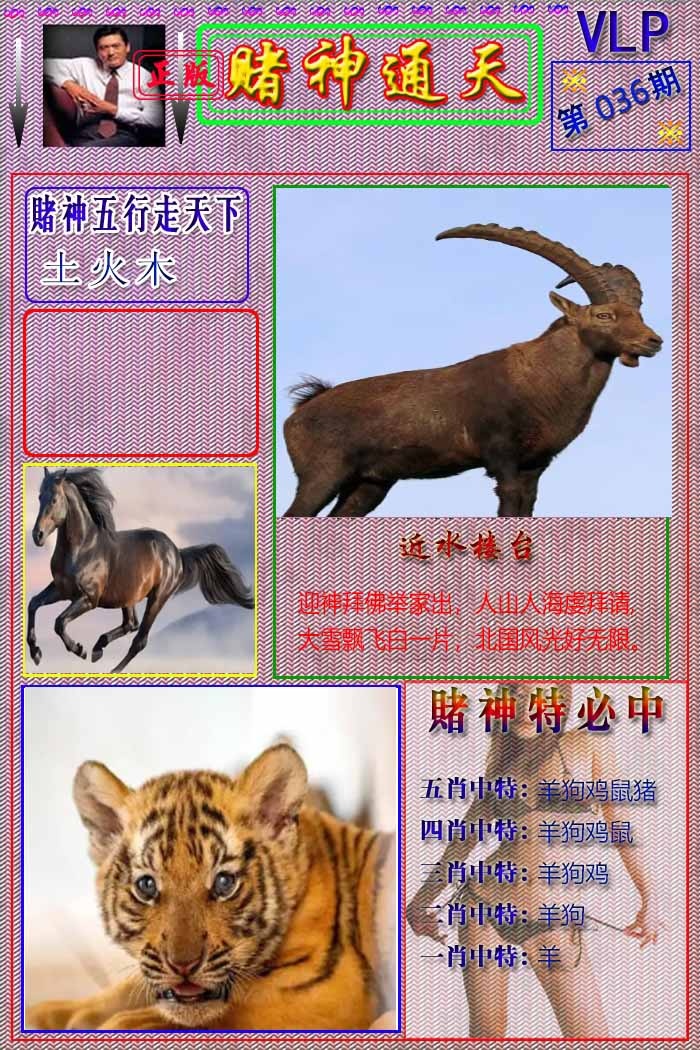 036期赌神通天报[图]